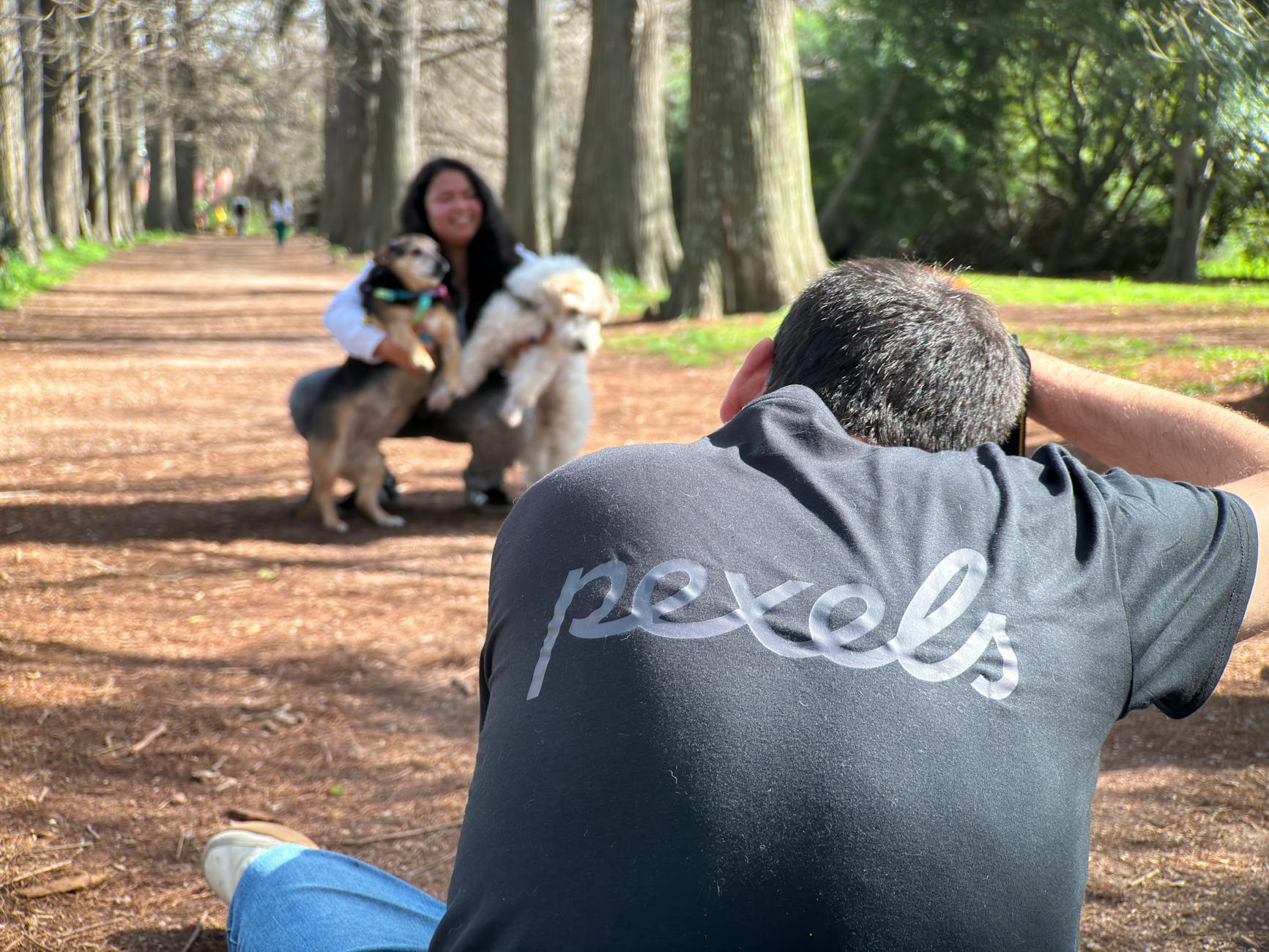 Professional business partnership