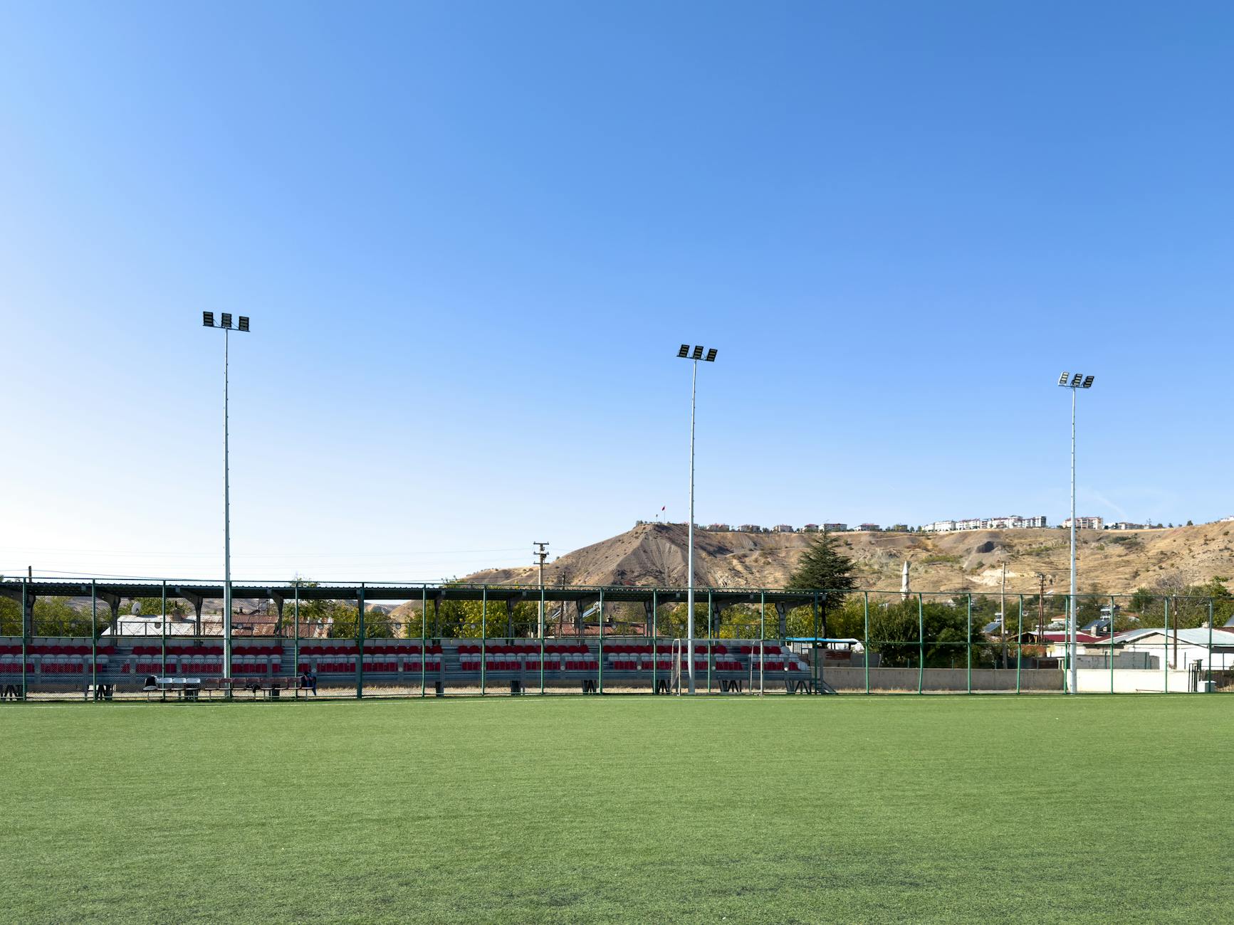 Professional team consultation